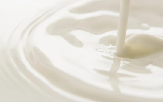 【職人豆腐】大山阿夫利（絹）国産大豆100％