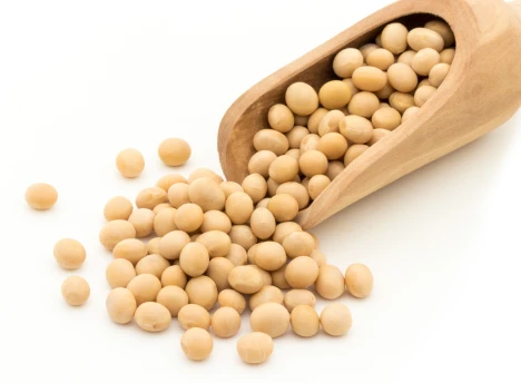 国産大豆